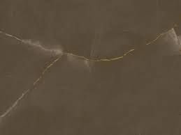 PULPIS — Neolith